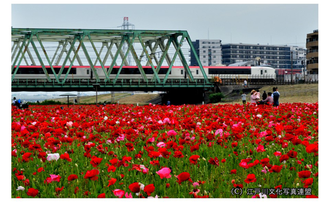 タワーホール船堀で「えどがわ百景写真展」を開催