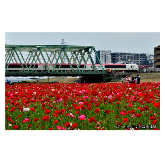 タワーホール船堀で「えどがわ百景写真展」を開催