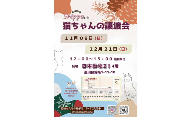 えどねこ譲渡会が11月9日(日)と12月21日(日)墨田区で開催