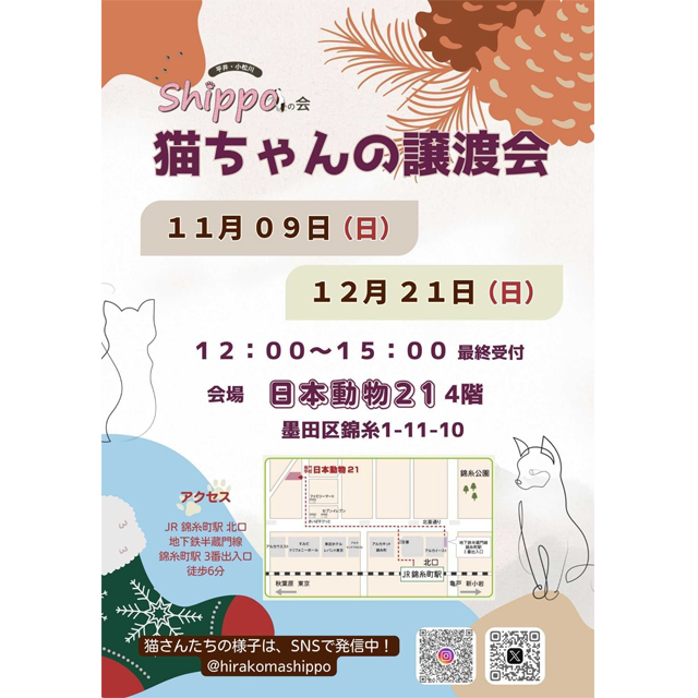 えどねこ譲渡会が11月9日(日)と12月21日(日)墨田区で開催