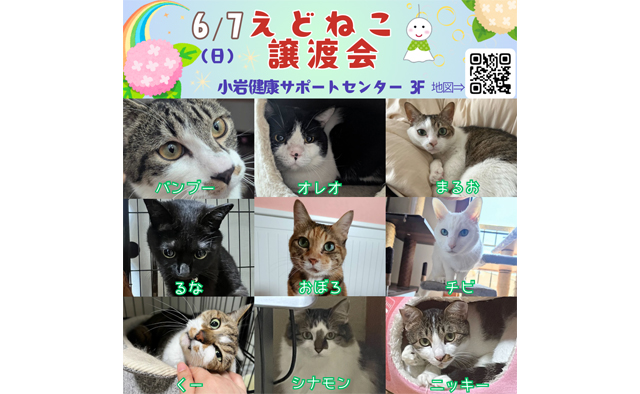 6/7(日)「えどねこ」による保護猫の譲渡会