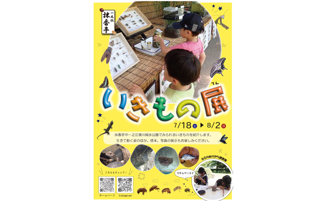 夏休みは「いきもの展」でいろいろな生態を見てみよう