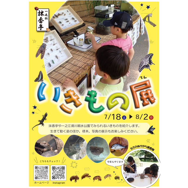 夏休みは「いきもの展」でいろいろな生態を見てみよう