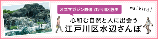 江戸川区水辺さんぽ