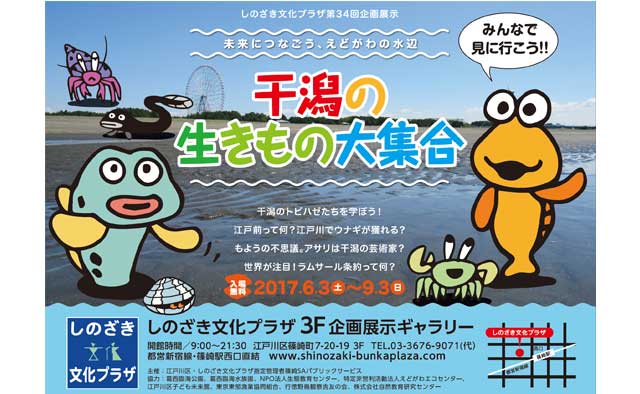 第34回企画展示
未来につなごう、えどがわの水辺
干潟の生きもの大集合