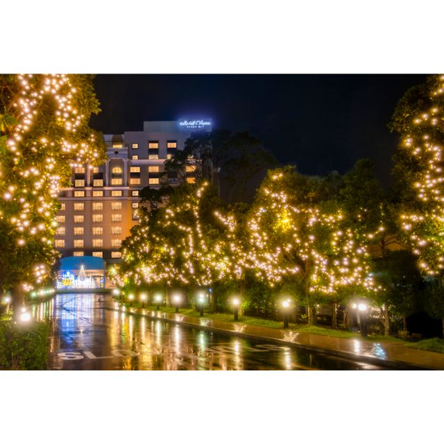 11月1日（水）よりホテルオークラ東京ベイでウィンターイルミネーション「Bayside Special Party」がスタート