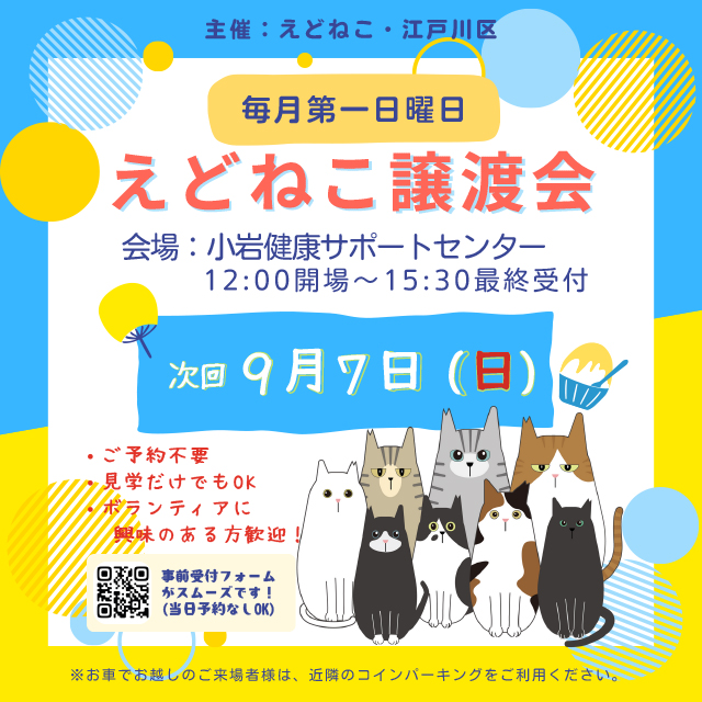 江戸川区、えどねこが主催する「ねこちゃんの譲渡会」